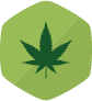 cannabis and drug driving